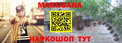 дмт Краснознаменск